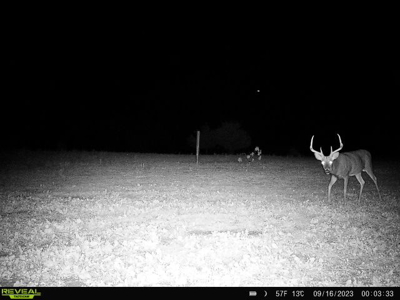 44± Acre Premier Duck and Deer Hunting Property Marquette Cty WI - image 18