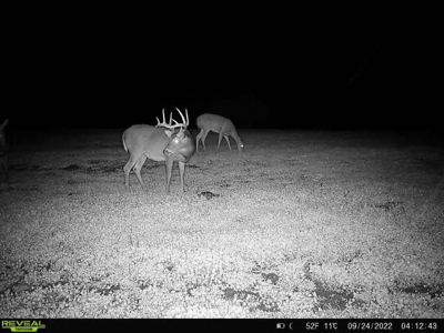 44± Acre Premier Duck and Deer Hunting Property Marquette Cty WI - image 19