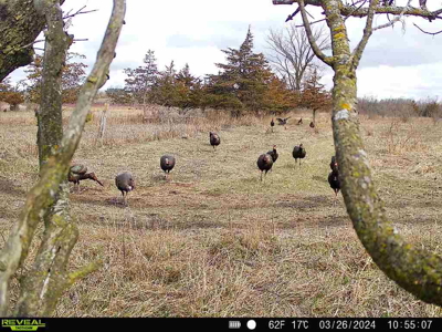 44± Acre Premier Duck and Deer Hunting Property Marquette Cty WI - image 15