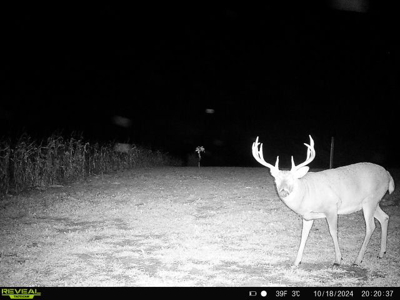 44± Acre Premier Duck and Deer Hunting Property Marquette Cty WI - image 25