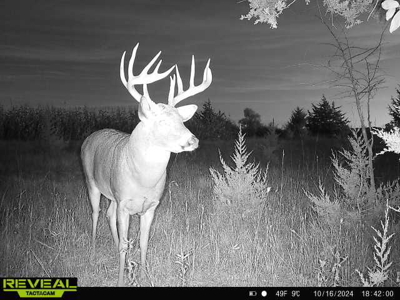44± Acre Premier Duck and Deer Hunting Property Marquette Cty WI - image 3