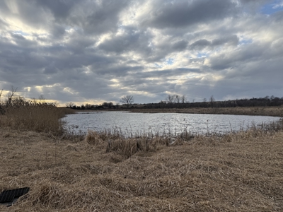 44± Acre Premier Duck and Deer Hunting Property Marquette Cty WI - image 41