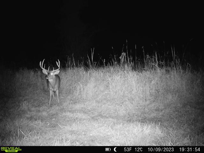 44± Acre Premier Duck and Deer Hunting Property Marquette Cty WI - image 26