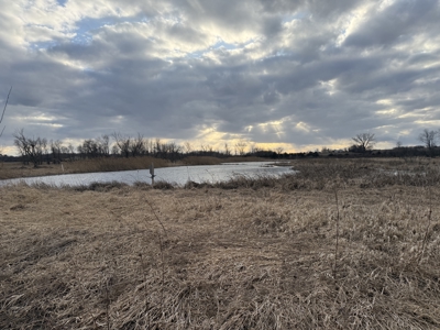 44± Acre Premier Duck and Deer Hunting Property Marquette Cty WI - image 10