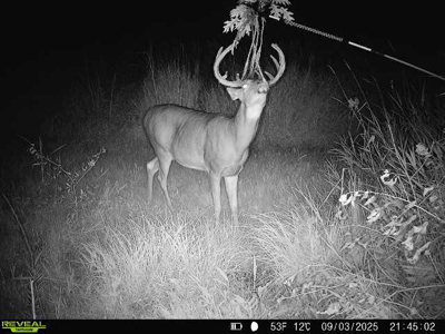 44± Acre Premier Duck and Deer Hunting Property Marquette Cty WI - image 5