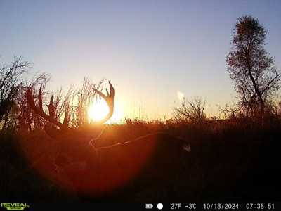 44± Acre Premier Duck and Deer Hunting Property Marquette Cty WI - image 16