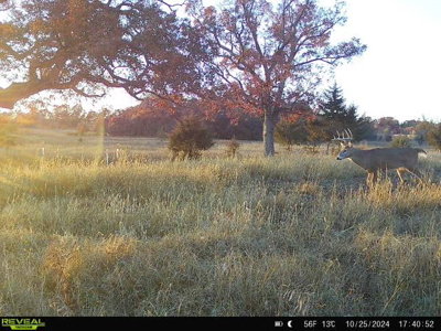 44± Acre Premier Duck and Deer Hunting Property Marquette Cty WI - image 40