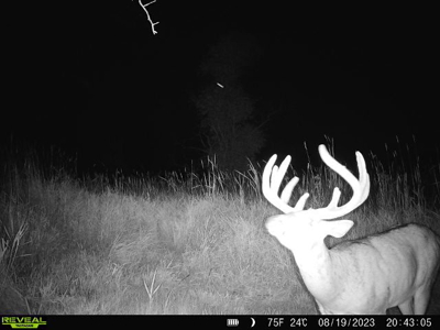 44± Acre Premier Duck and Deer Hunting Property Marquette Cty WI - image 28