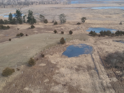 44± Acre Premier Duck and Deer Hunting Property Marquette Cty WI - image 6