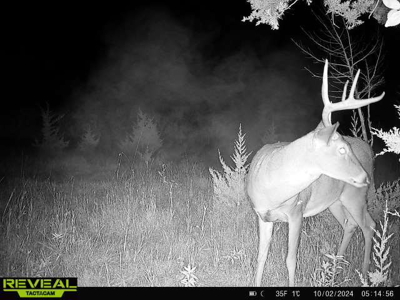 44± Acre Premier Duck and Deer Hunting Property Marquette Cty WI - image 24