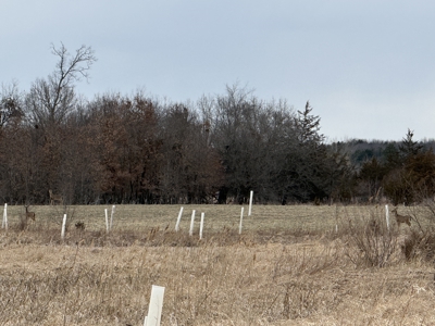 44± Acre Premier Duck and Deer Hunting Property Marquette Cty WI - image 31