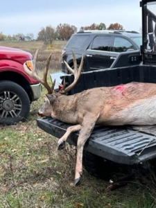 44± Acre Premier Duck and Deer Hunting Property Marquette Cty WI - image 20