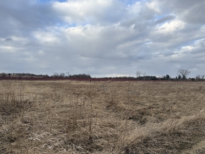 44± Acre Premier Duck and Deer Hunting Property Marquette Cty WI - image 14