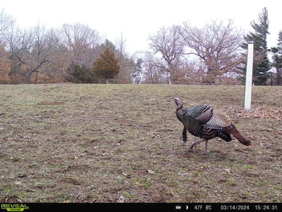44± Acre Premier Duck and Deer Hunting Property Marquette Cty WI - image 11