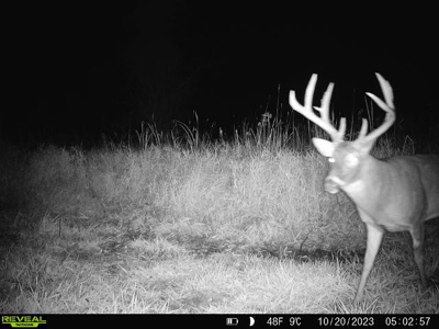 44± Acre Premier Duck and Deer Hunting Property Marquette Cty WI - image 38