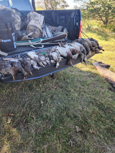 44± Acre Premier Duck and Deer Hunting Property Marquette Cty WI - image 8