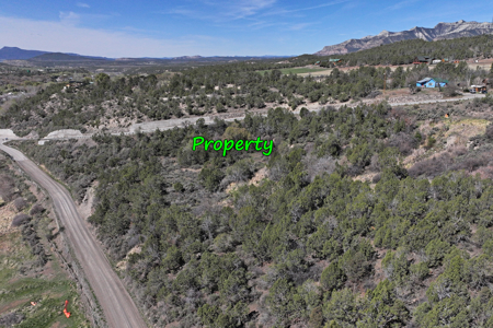 Vacant Land For Sale in Colorado - image 5