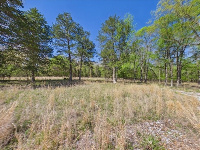 Bull Shoals Lake 14+ Acres Corp of Engineers w/Utilities For Sale - image 4