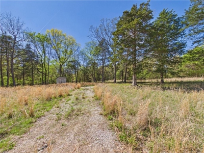 Bull Shoals Lake 14+ Acres Corp of Engineers w/Utilities For Sale - image 5