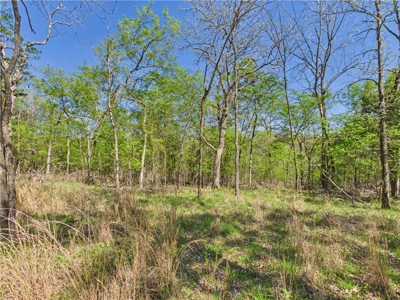 Bull Shoals Lake 14+ Acres Corp of Engineers w/Utilities For Sale - image 7