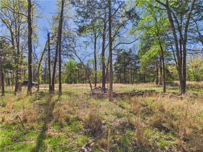 Bull Shoals Lake 14+ Acres Corp of Engineers w/Utilities For Sale - image 8