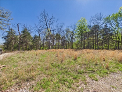 Bull Shoals Lake 14+ Acres Corp of Engineers w/Utilities For Sale - image 6