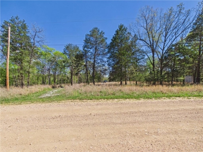 Bull Shoals Lake 14+ Acres Corp of Engineers w/Utilities For Sale - image 1