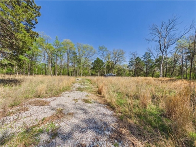 Bull Shoals Lake 14+ Acres Corp of Engineers w/Utilities For Sale - image 9