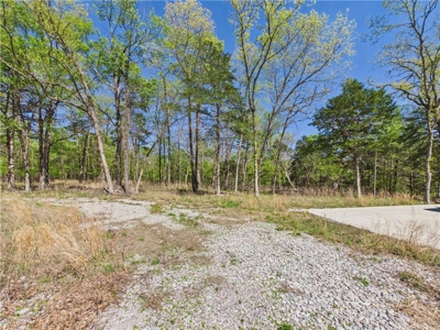 Bull Shoals Lake 14+ Acres Corp of Engineers w/Utilities For Sale - image 3