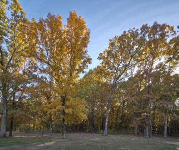 Camden Cnty, MO Country Home & Acreage, Bardominium 0n 34 Acres - image 8