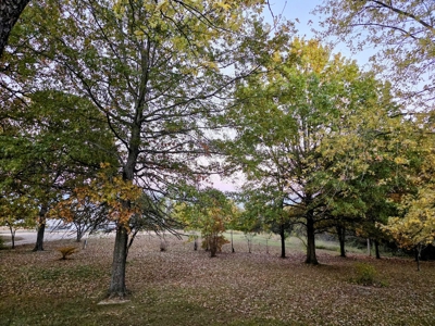 Camden Cnty, MO Country Home & Acreage, Bardominium 0n 34 Acres - image 9