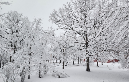 Camden Cnty, MO Country Home & Acreage, Bardominium 0n 34 Acres - image 10