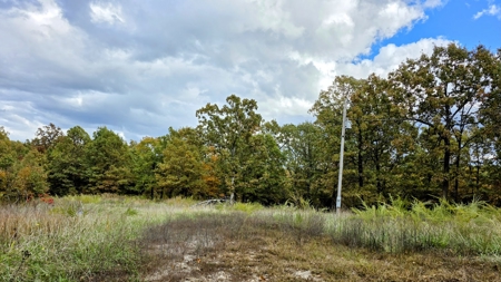 Camden Cnty, MO Country Home & Acreage, Bardominium 0n 34 Acres - image 7