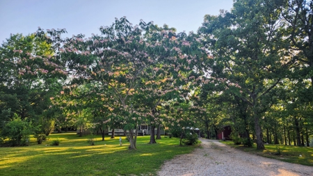 Camden Cnty, MO Country Home & Acreage, Bardominium 0n 34 Acres - image 4