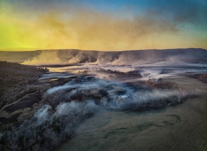 40 acres +/- For Sale Near Kiamichi River! Tract 5 - image 11