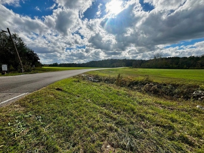 Land For Sale Inside Baldwyn City Limits - image 6