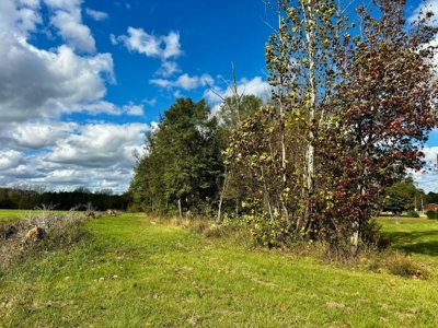 Land For Sale Inside Baldwyn City Limits - image 2