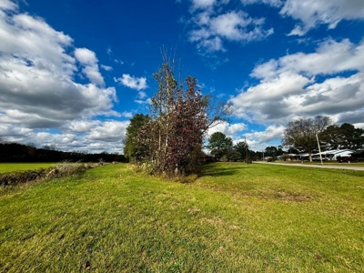 Land For Sale Inside Baldwyn City Limits - image 7