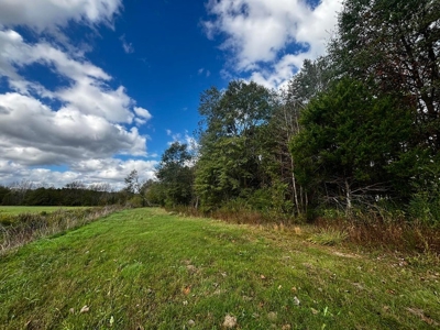 Land For Sale Inside Baldwyn City Limits - image 5