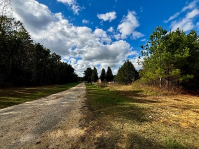 Residential Lots Near Hwy 45 Baldwyn MS - image 3