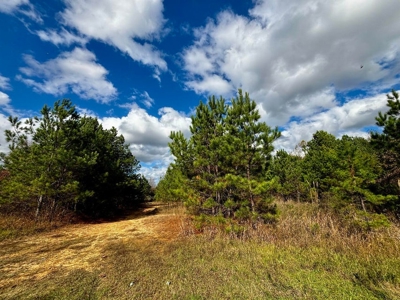 Residential Lots Near Hwy 45 Baldwyn MS - image 12
