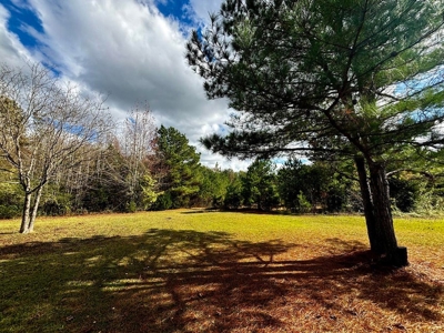 Residential Lots Near Hwy 45 Baldwyn MS - image 5