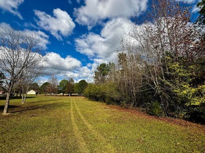 Residential Lots Near Hwy 45 Baldwyn MS - image 9