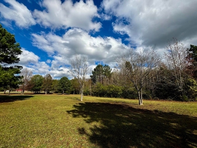 Residential Lots Near Hwy 45 Baldwyn MS - image 7
