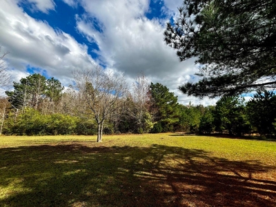Residential Lots Near Hwy 45 Baldwyn MS - image 6