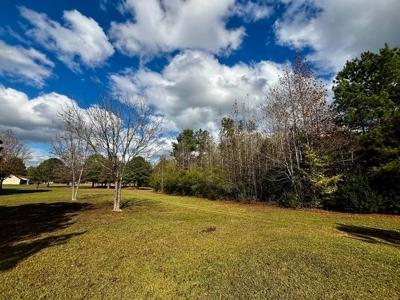 Residential Lots Near Hwy 45 Baldwyn MS - image 8