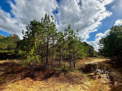 Residential Lots Near Hwy 45 Baldwyn MS - image 10