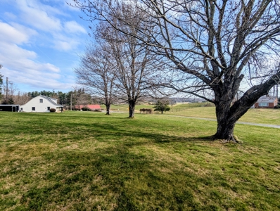 Country Home for Sale in Copper Hill, VA - image 4