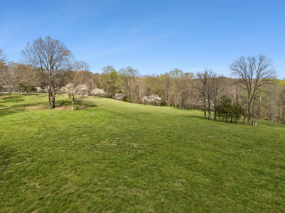 Private Country Estate For Sale in Middle TN - Log Cabin & Barn - image 38
