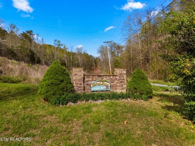 2.38 Acres in Gated Community in Hawkins County, Tennessee - image 23